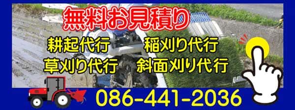 チェックアイコン